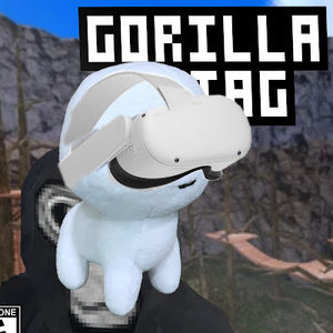 Meet your Posher, Kitty